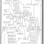 DoJ Diagram